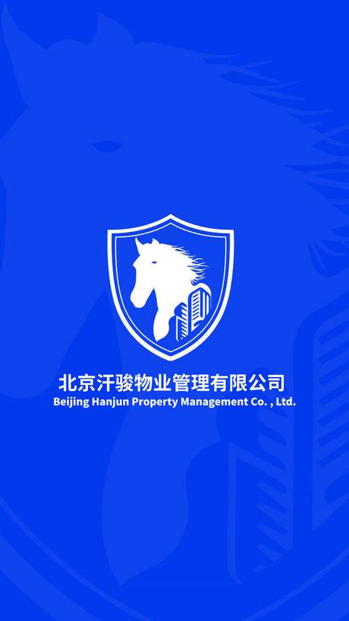 马建波与公司的数字化转型 从物业管理到计算机系统服务